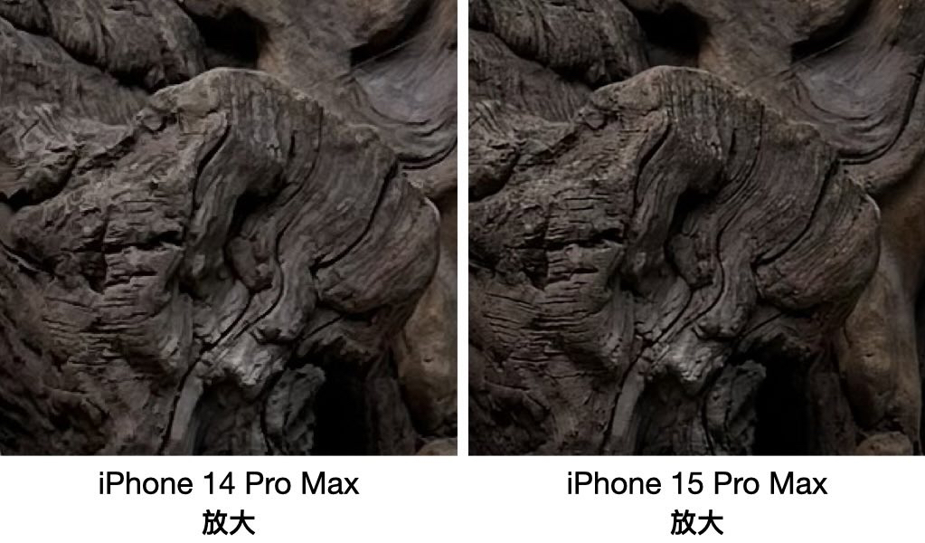 12MP 与 24MP 成片的解析力对比